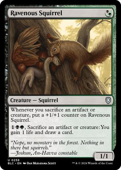 Ravenous Squirrel (Commander: Bloomburrow) Light Play