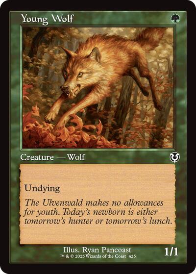 Young Wolf (Retro Frame) (Innistrad Remastered) Near Mint