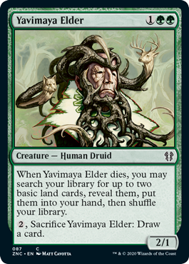 Yavimaya Elder (Commander 2020 Zendikar Rising) Light Play