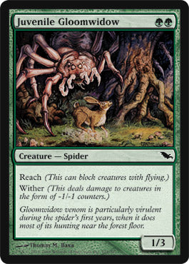 Juvenile Gloomwidow (Shadowmoor) Light Play Foil
