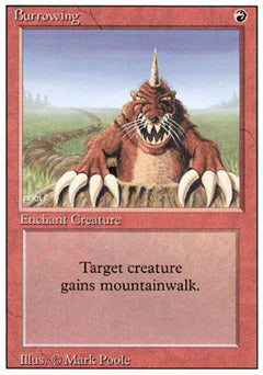 Burrowing (Revised) Medium Play