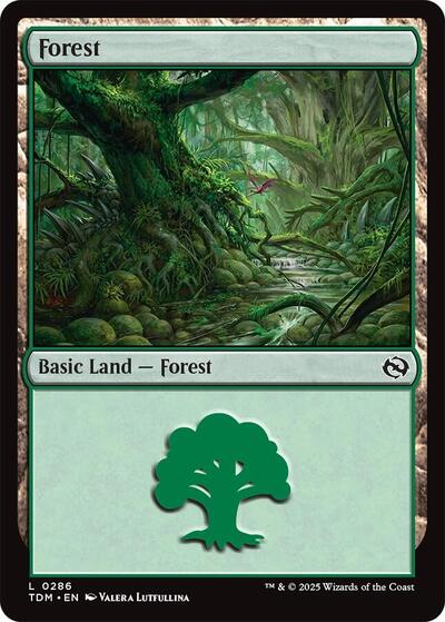 Forest (0286) (Tarkir: Dragonstorm) Near Mint Foil