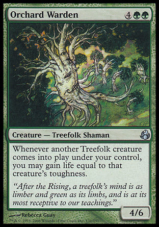 Orchard Warden (Morningtide) Medium Play Foil