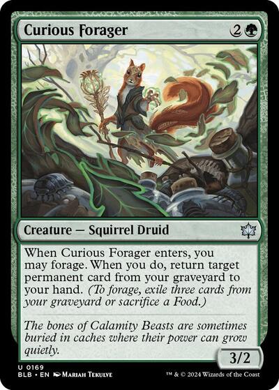 Curious Forager (Bloomburrow) Near Mint Foil