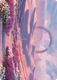 Plains Art Card  63 81|0|0|0.00