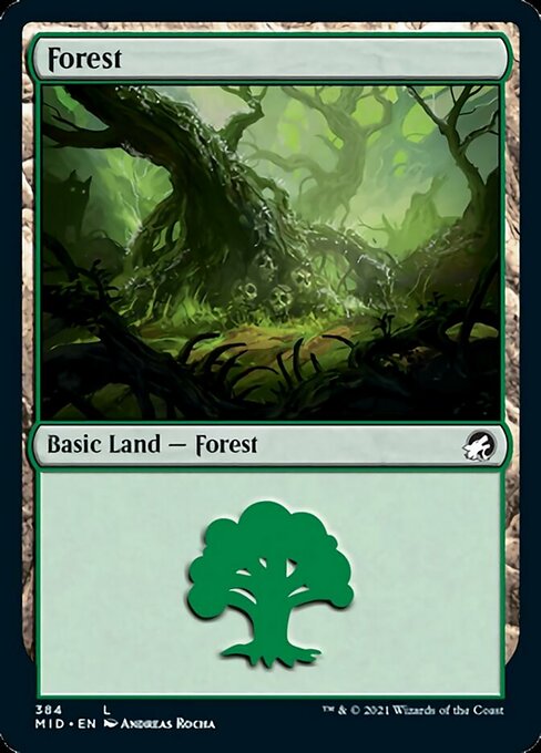Forest (384) (Innistrad: Midnight Hunt) Near Mint