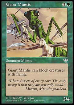Giant Mantis (Mirage) Light Play
