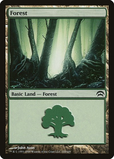 Forest (165) (Planechase) Near Mint