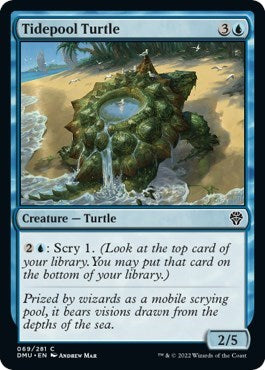 Tidepool Turtle (Dominaria United) Medium Play Foil