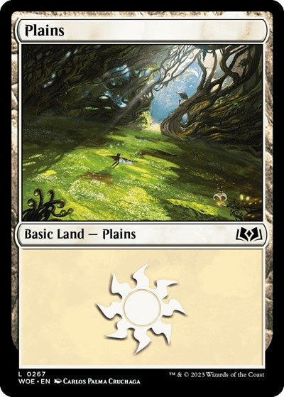 Plains  0267|1|0|0.00