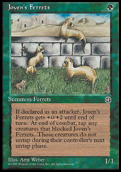 Joven's Ferrets (Homelands) Medium Play