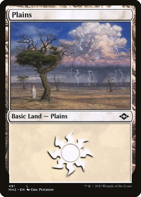 Plains (481) (Foil Etched) (Modern Horizons 2) Light Play Foil