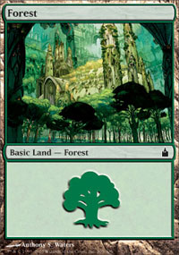 Forest  305|1|0|0.00