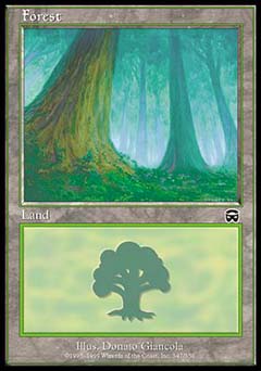 Forest (347) (Mercadian Masques) Damaged / Poor