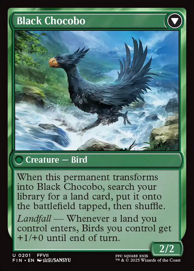 Back face of Black Chocobo