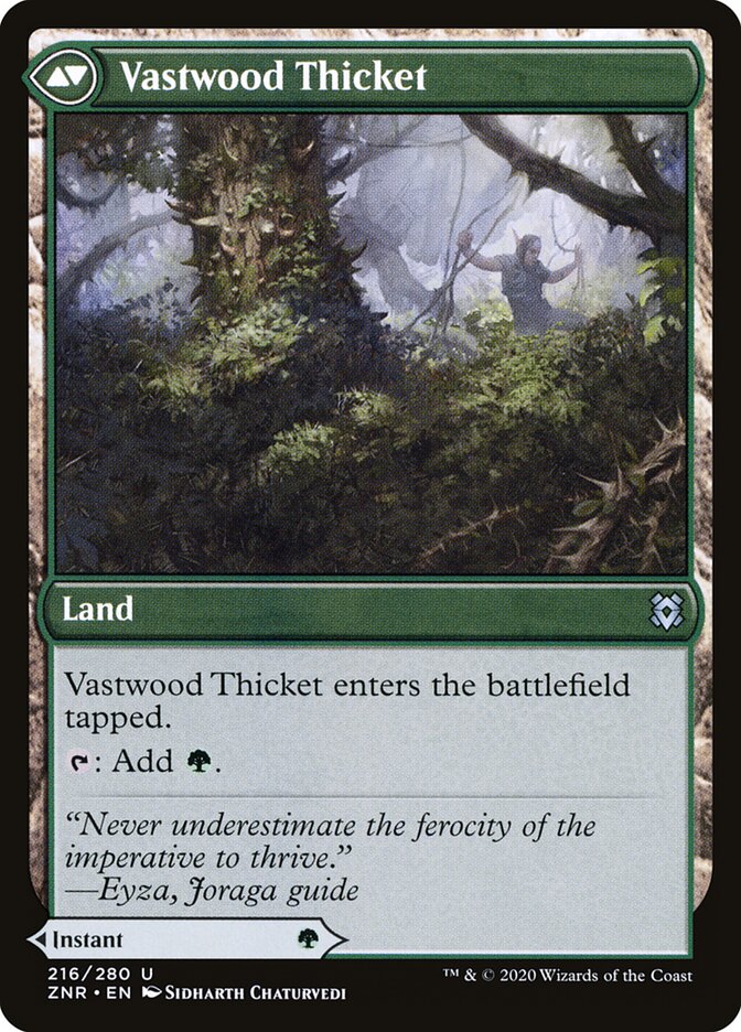Back face of Vastwood Thicket