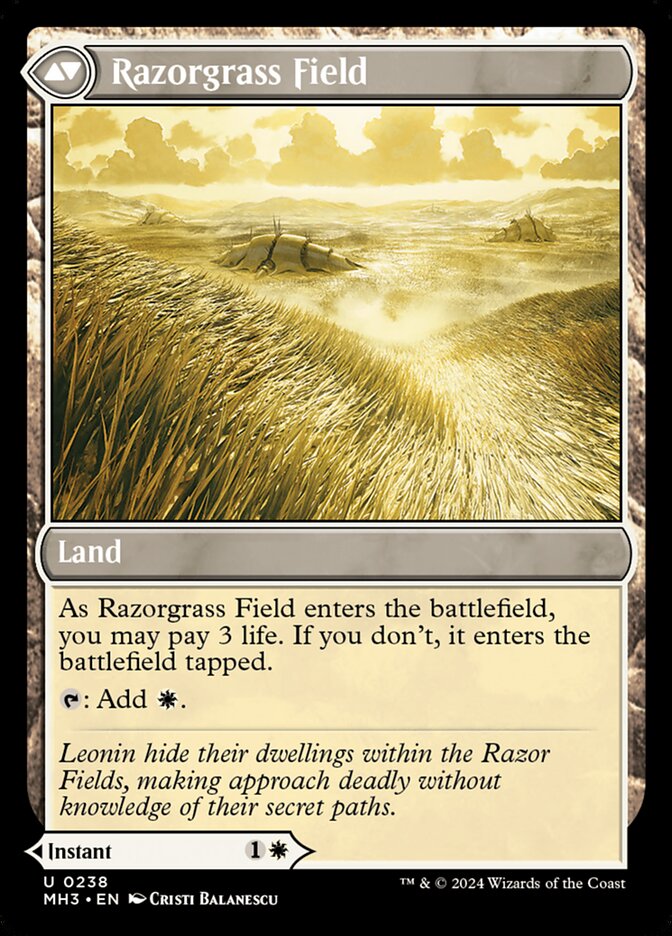 Back face of Razorgrass Field