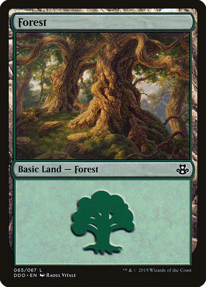 Forest (65) (Duel Decks: Kiora vs Elspeth) Light Play