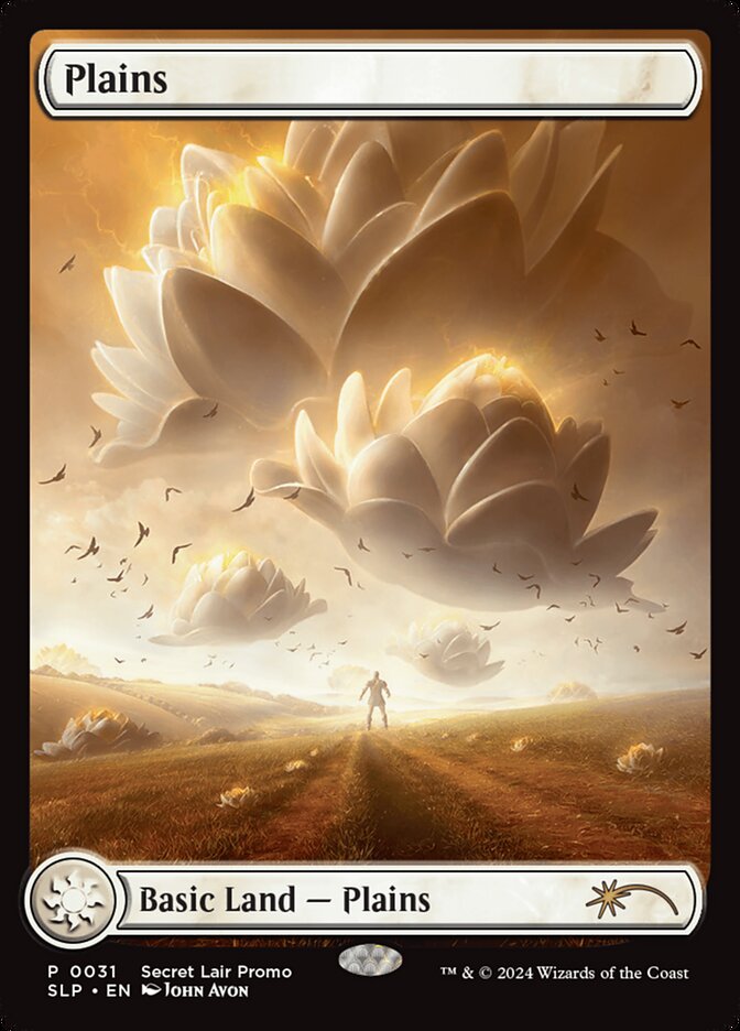 Plains (slp 31)
