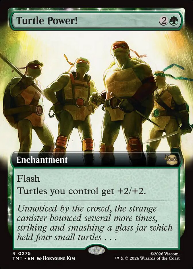Turtle Power! (tmt 275)