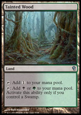 Tainted Wood (Duel Decks: Jace vs Vraska) Light Play