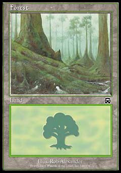 Forest (348) (Mercadian Masques) Medium Play