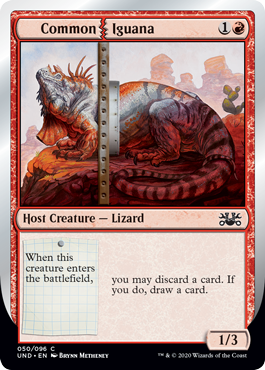 Common Iguana|14|0|0.00