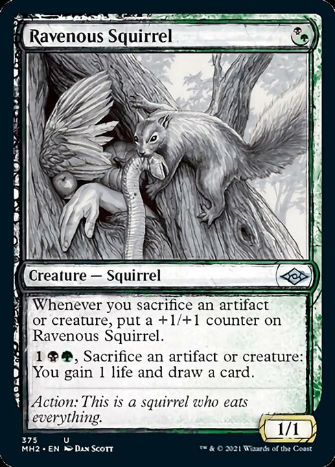 Ravenous Squirrel (Showcase) (Modern Horizons 2) Near Mint