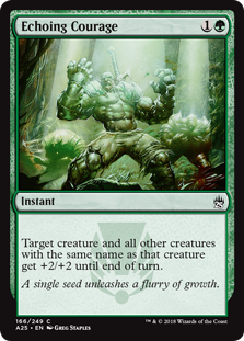 Echoing Courage (Masters 25) Near Mint Foil