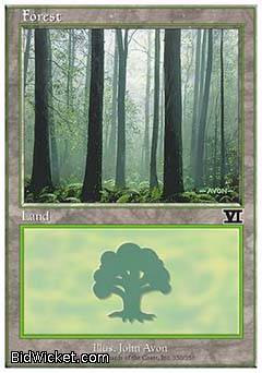 Forest (350) (Classic 6th Edition) Light Play