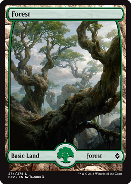 Forest (274) (Full Art) (Battle for Zendikar) Near Mint