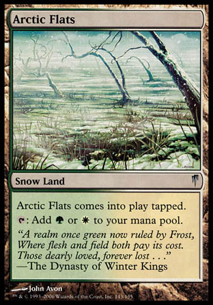 Arctic Flats (Coldsnap) Medium Play Foil