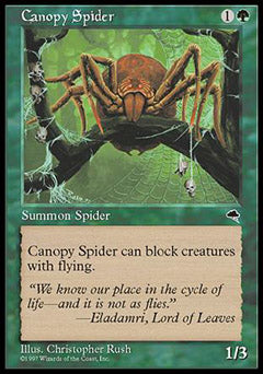Canopy Spider (Tempest) Medium Play