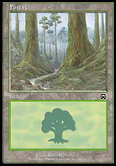 Forest (349) (Mercadian Masques) Light Play Foil