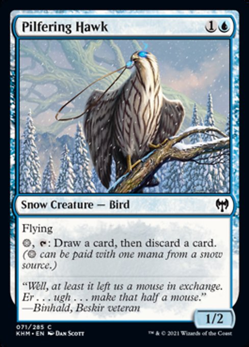 Pilfering Hawk (Kaldheim) Near Mint Foil