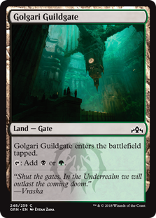 Golgari Guildgate (248) (Guilds of Ravnica) Near Mint