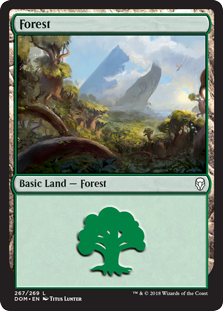 Forest (267) (Dominaria) Medium Play Foil