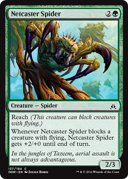 Netcaster Spider (Oath of the Gatewatch) Medium Play