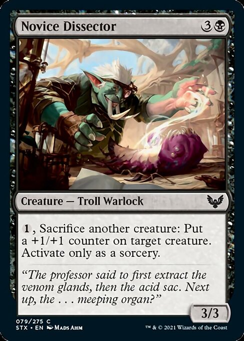 Novice Dissector (Strixhaven) Near Mint Foil