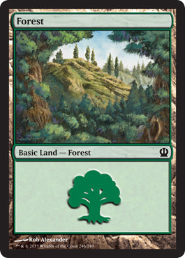 Forest (246) (Theros) Medium Play