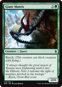 Giant Mantis (Battle for Zendikar) Near Mint