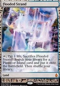 Flooded Strand (Zendikar Expeditions) Light Play Foil