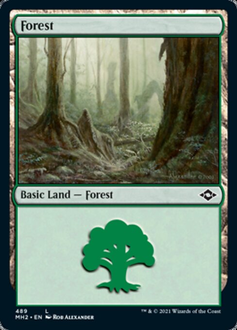 Forest (489) (Modern Horizons 2) Near Mint