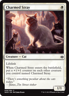 Charmed Stray (War of the Spark) Near Mint