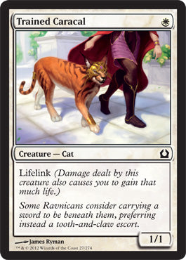 Trained Caracal (Return to Ravnica) Medium Play