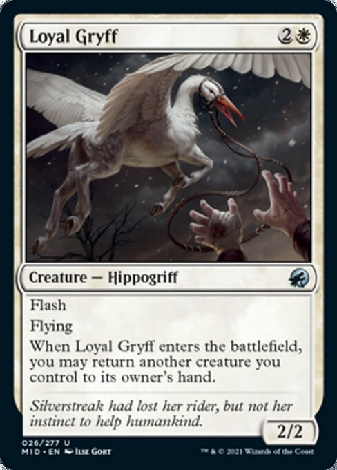 Loyal Gryff (Innistrad: Midnight Hunt) Near Mint