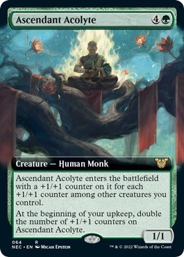 Ascendant Acolyte (Extended Art) (Commander: Kamigawa: Neon Dynasty) Light Play