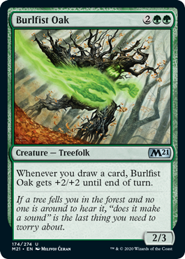 Burlfist Oak (Magic 2021 Core Set) Medium Play