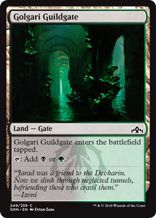 Golgari Guildgate (249) (Guilds of Ravnica) Near Mint