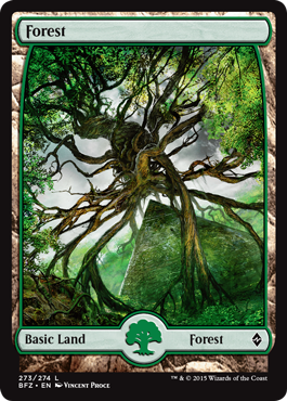 Forest (273) (Full Art) (Battle for Zendikar) Light Play
